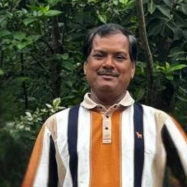 Festival - Mrityunjay Samanta